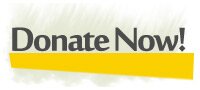 Donate Now